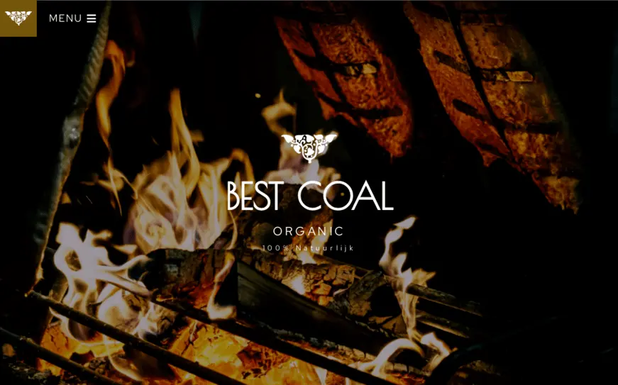 bestcoal.be